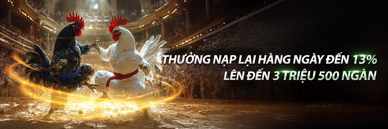 Cá cược thể thao 36win web